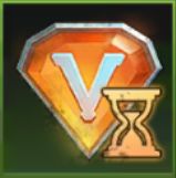 24時間VIP